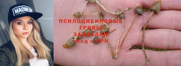 спиды Алзамай