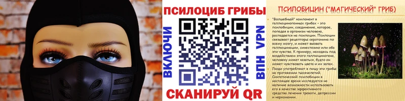 Галлюциногенные грибы мицелий  купить   Чернушка 